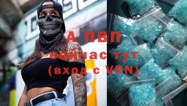 spice Надым