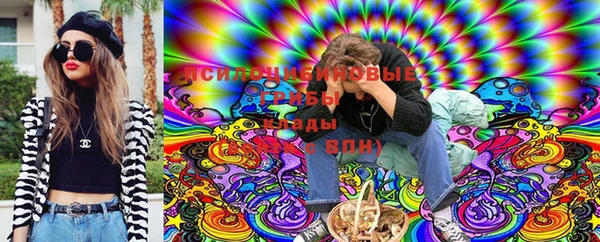 индика Вязьма