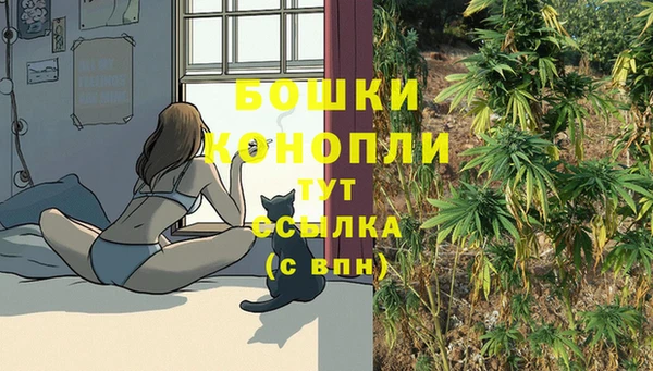 spice Надым