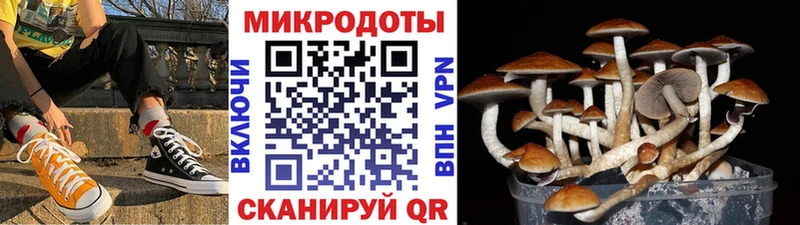 мега   Кудымкар  Галлюциногенные грибы MAGIC MUSHROOMS 