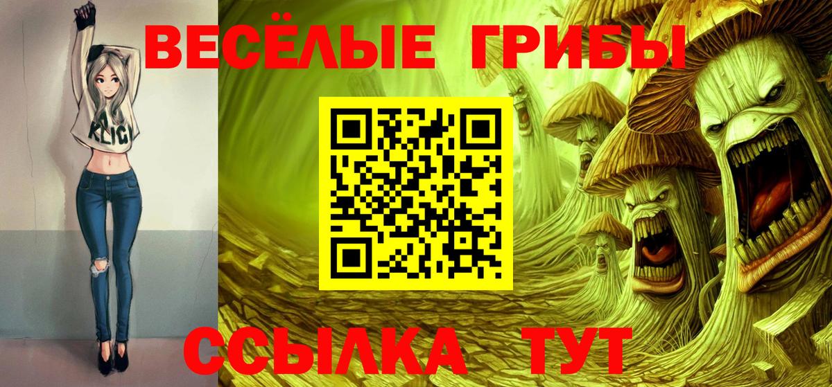 Галлюциногенные грибы GOLDEN TEACHER Кудымкар