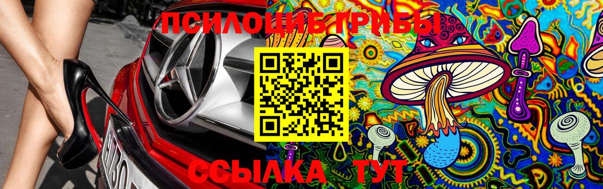 Псилоцибиновые грибы MAGIC MUSHROOMS  Вход с VPN  Кудымкар 