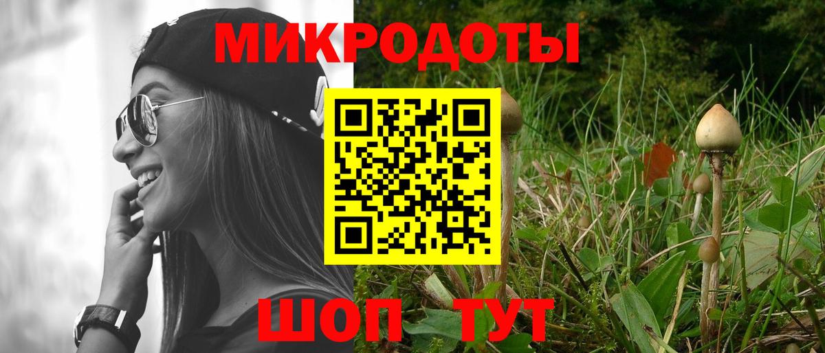 Псилоцибиновые грибы ЛСД Кудымкар