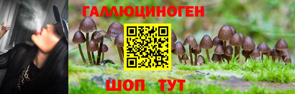 Псилоцибиновые грибы Psilocybe  Псилоцибиновые грибы ЛСД  Кудымкар 